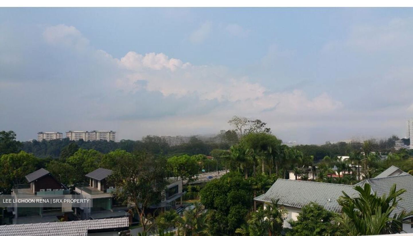 Raffles Park (D11), Detached #461165291